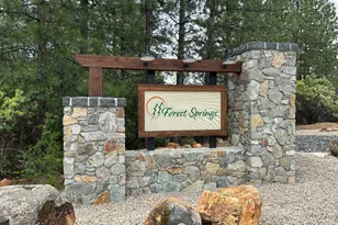 Grinding Rock Dr, Grass Valley, CA 95949 - Photo 63