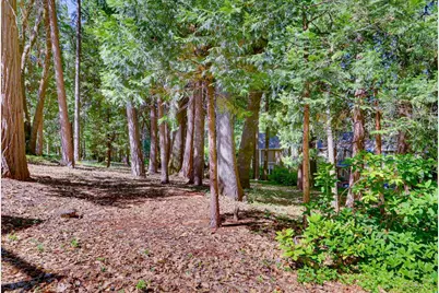 11010 Success Cross Road, Nevada City, CA 95959 - Photo 71