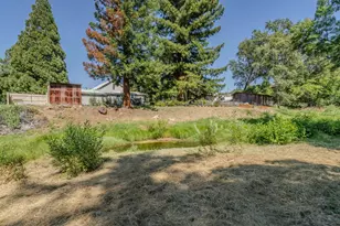 133 Badger St, Sutter Creek, CA 95685 - Photo 25