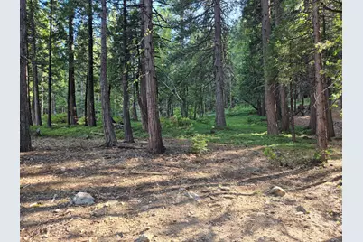 3850 Apache Road, Dorrington, CA 95223 - Photo 7
