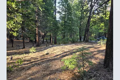 3850 Apache Road, Dorrington, CA 95223 - Photo 1