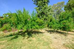 20115 Co Rd 79A, Capay, CA 95607 - Photo 17