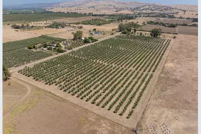 20115 County Road 79A, Capay, CA 95607 - Photo 5
