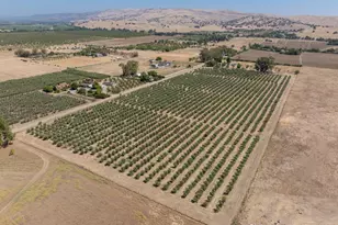 20115 Co Rd 79A, Capay, CA 95607 - Photo 5