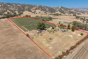 20115 Co Rd 79A, Capay, CA 95607 - Photo 3