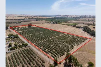 20115 County Road 79A, Capay, CA 95607 - Photo 1