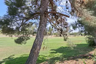 7071 W St Andrews Ln, Tracy, CA 95377 - Photo 65