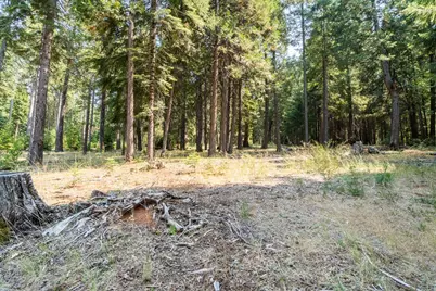 13518 Quaker Hill Cross Road, Nevada City, CA 95959 - Photo 13