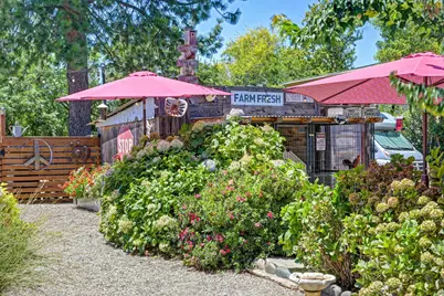 574 Peach Lane, Newcastle, CA 95658 - Photo 5