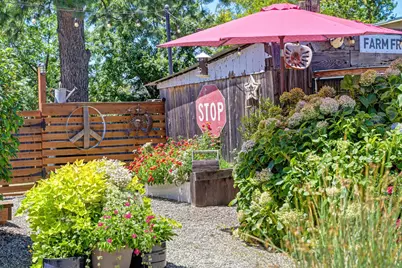 574 Peach Lane, Newcastle, CA 95658 - Photo 7