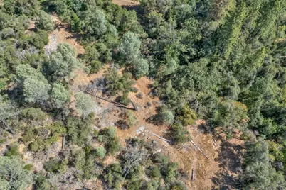 0 Leaning Tree Road, Placerville, CA 95667 - Photo 13