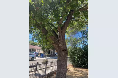 3801 35th Street, Sacramento, CA 95820 - Photo 13