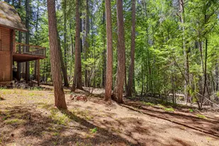 13792 Rockway Pl, Nevada City, CA 95959 - Photo 65