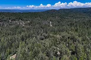 13792 Rockway Pl, Nevada City, CA 95959 - Photo 67