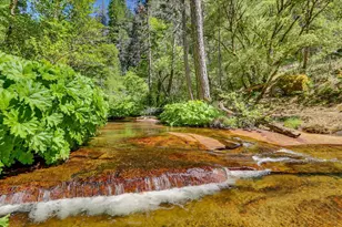 18625 Rock Creek Rd, Nevada City, CA 95959 - Photo 79