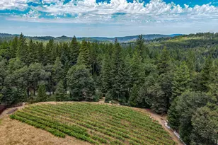 18625 Rock Creek Rd, Nevada City, CA 95959 - Photo 89