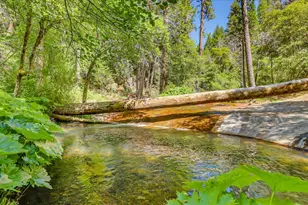 18625 Rock Creek Rd, Nevada City, CA 95959 - Photo 75