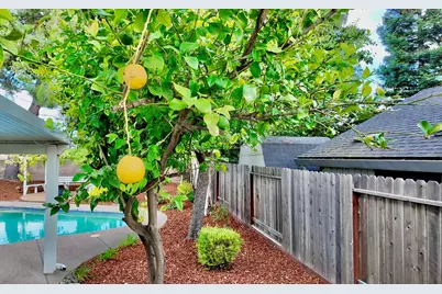 102 Davis Court, Roseville, CA 95678 - Photo 25
