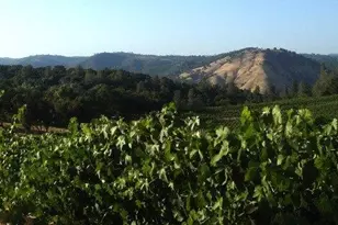 741 Cold Springs Rd, Placerville, CA 95667 - Photo 17
