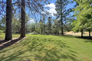 10800 Round Valley Rd, Grass Valley, CA 95949 - Photo 3