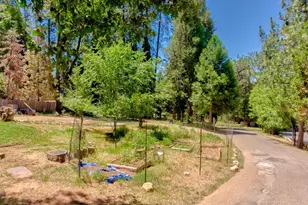 6350 State Hwy 193, Georgetown, CA 95634 - Photo 3