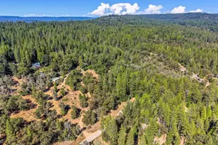 17008 Bloomfield Ridge Pl, Nevada City, CA 95959 - Photo 41