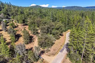 17008 Bloomfield Ridge Pl, Nevada City, CA 95959 - Photo 45