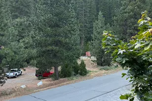 521 Brady Dr, Sierra City, CA 96125 - Photo 15