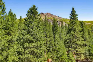 521 Brady Dr, Sierra City, CA 96125 - Photo 65