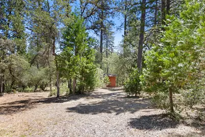 13234 Squirrel Creek Road, Grass Valley, CA 95945 - Photo 11