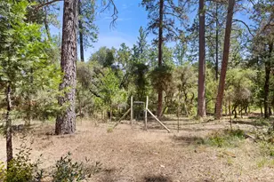 13234 Squirrel Creek Rd, Grass Valley, CA 95945 - Photo 57