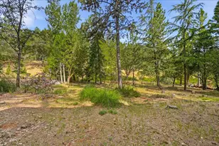 17750 Norlene Way, Grass Valley, CA 95949 - Photo 41