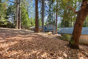 17642 Stella Ct, Pioneer, CA 95666 - Photo 29