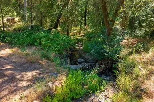5281 Hidden Hollow Dr, Placerville, CA 95667 - Photo 31