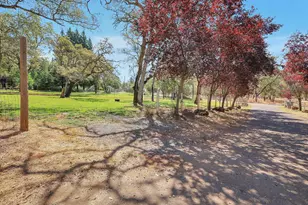 7115 Therese Trail, Browns Valley, CA 95918 - Photo 43