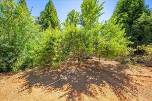 15570 Bella Sera Ct, Grass Valley, CA 95945 - Photo 69