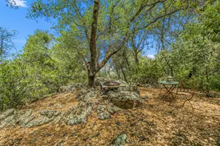 2211 Terrace View Ct, Cool, CA 95614 - Photo 91