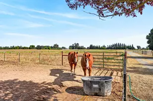 17500 E Collier Rd, Acampo, CA 95220 - Photo 43