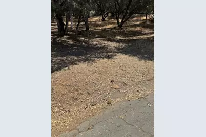 11839 Warbler Way, Penn Valley, CA 95946 - Photo 3