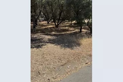 11839 Warbler Way, Penn Valley, CA 95946 - Photo 1
