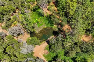19114 Halcon Crest Ct, Grass Valley, CA 95949 - Photo 89