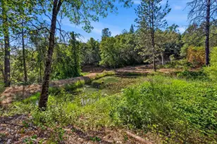 19114 Halcon Crest Ct, Grass Valley, CA 95949 - Photo 89