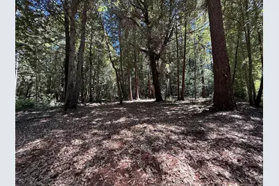 17243 Indiana Ranch Road, Dobbins, CA 95935 - Photo 13