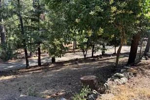817 Timber Hills Rd, Colfax, CA 95713 - Photo 11