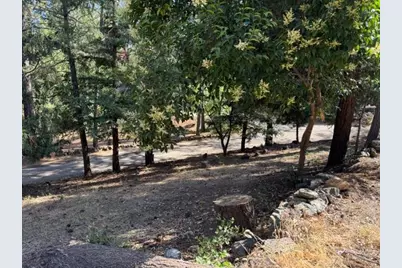 817 Timber Hills Road, Colfax, CA 95713 - Photo 35