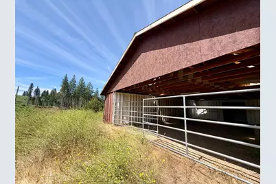 4621 Sciaroni Road, Grizzly Flats, CA 95636 - Photo 3