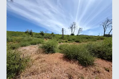 4621 Sciaroni Road, Grizzly Flats, CA 95636 - Photo 11