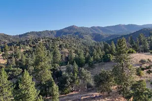 0 Whitaker Forest Rd, Miramonte, CA 93641 - Photo 25