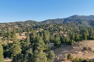 0 Whitaker Forest Rd, Miramonte, CA 93641 - Photo 31