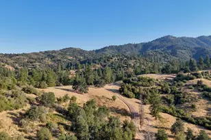 0 Whitaker Forest Rd, Miramonte, CA 93641 - Photo 69